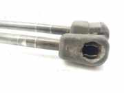 Gasdruckfedern Set Hinten 13182537 Opel D Cosmo 75 CV / 55 KW