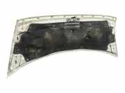 Motorhaube 4754207 Ford MOD. 2000 Kombi FT 300 2.0 medio 101 CV / 74 KW