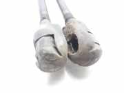 Gasdruckfedern Set Hinten 7700842256 Renault Clio II (BB/CB) Schrägheck 1.9 D (F8Q-630)