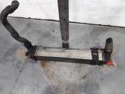 Ladeluftkühler 144960001R Renault Laguna Coupé (DT) Coupé 2.0 dCi 16V 150 (M9R-858)