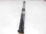 Gasdruckfedern Set Hinten 90521517 Opel ASTRA G BERLINA Club 75 CV / 55 KW