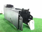 Armlehne MIDDEN 96910JD02E Nissan (J10) Tekna Premium 106 CV / 78 KW