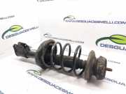 Stoßdämpfer Links Vorne 8200662260 Renault Clio II (BB/CB) Schrägheck 1.4 (E7J-780)
