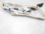 Vorhang Airbag Links VOOR VOOR 4L0880741A Audi Q7 (4LB) SUV 4.2 FSI V8 32V (BAR)