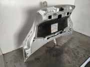 Motorhaube 7901Q0 Peugeot Bipper (AA) Van 1.3 HDI (199.A.9000)