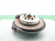 Achsschenkel Halter Links Hinten LR045825 Land + Range Rover Range Rover Sport (LS) Geländewagen 2.7 TDV6 24V (276DT)
