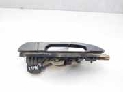 Türgriff Außen Links Hinten CXB500290PNF Land + Range Rover Range Rover III (LM) Geländewagen 4.4 TDV8 32V (448DT)