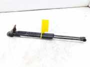 Gasdruckfedern Set Hinten 7564390520N Toyota Auris (E18) Schrägheck 5-drs 2.0 D-4D-F 16V (1AD-FTV)