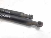 Gasdruckfeder Set Vorne 9629618980 Citroën Xsara (N1) Schrägheck 1.9TD X,SX,Exclusive (XUD9TE(DHY))