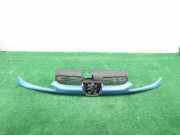 Grill 9628934280 Peugeot 206 (2A/C/H/J/S) Schr?gheck 1.9 D (DW8(WJZ))
