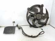 Kühlerventilator 1253A7 Citroën Berlingo Van 1.9 Di (DW8B(WJY))