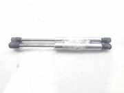 Gasdruckfedern Set Hinten 3B5827550E Volkswagen Passat (3B3) Limousine 2.5 TDI V6 24V (BDG) BDG