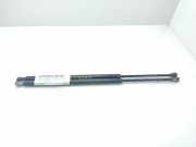 Gasdruckfedern Set Hinten 51248402405 BMW X5 (E53) SUV 3.0 24V (M54-B30(306S3))
