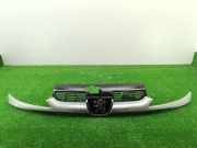 Grill 9628691277 Peugeot 206 (2A/C/H/J/S) Schrägheck 1.9 D (DW8(WJZ))