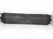 Ladeluftkühler 874806M Nissan Interstar (X70) Van 2.5 dCi 16V 120 (G9U-650)