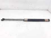 Gasdruckfedern Set Hinten 13182309 Opel Corsa D Schrägheck 1.3 CDTi 16V ecoFLEX (Z13DTJ)
