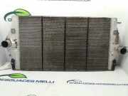 Ladeluftkühler 8200075810 Renault Vel Satis (BJ) Großraumlimousine 2.2 dCi 150 16V (G9T-702)