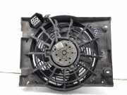 Kühlerventilator 24431829 Opel Astra G (F08/48) Schrägheck 2.0 DTi 16V (Y20DTH)