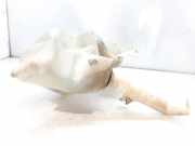 Scheibenwaschbehälter 289100001N Renault Laguna III Estate (KT) Kombi 5-drs 2.0 dCi 16V 130 (M9R-742)