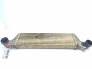 Ladeluftkühler 17512247966 BMW X5 (E53) SUV 3.0d 24V (M57-D30(306D1))