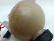 Ausgleichbehälter - 9654310780 DS DS 5 Schrägheck 2.0 BlueHDi 180 16V (DW10FC(AHW)) DW10FC(AHW)