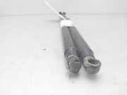 Gasdruckfedern Set Hinten 817701C001 Hyundai Getz Schrägheck 1.1i 12V (G4HD)