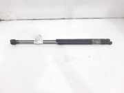 Gasdruckfedern Set Hinten 1683725 Ford Focus C-Max Großraumlimousine 1.6 TDCi 16V (G8DA)