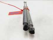 Gasdruckfedern Set Hinten 9650780480 Peugeot Confort 68 CV / 50 KW