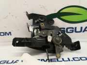 Türgriff Innen Links Hinten 8200004828 Opel VIVARO FURGÓN/Kombi (07.2006 =>) Kombi 2.7t L1H1 114 CV / 84 KW