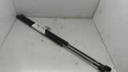 Gasdruckfedern Set Hinten 1224731 Ford Fiesta 5 (JD/JH) Schrägheck 1.4 TDCi (F6JA)
