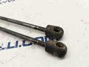 Gasdruckfedern Set Hinten 13182537 Opel Corsa D Schrägheck 1.3 CDTi 16V ecoFLEX (Z13DTJ)