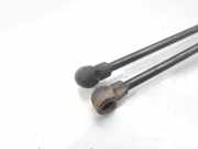 Gasdruckfedern Set Hinten 128513 Ford BERLINA (CAK) Ambiente 75 CV / 55 KW