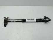 Gasdruckfedern Set Hinten 51247060622 BMW 1 serie (E81) Schrägheck 3-drs 118d 16V (N47-D20A)