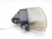 Kennzeichenbeleuchtung 7700410754 Renault Clio II (BB/CB) Schrägheck 1.4 (E7J-780)