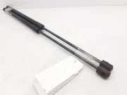 Gasdruckfedern Set Hinten H1BBA406A10AE Ford Fiesta 7 Schrägheck 1.0 EcoBoost 12V 100 (SFJK)