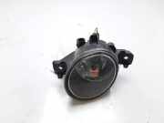 Nebelscheinwerfer Rechts Vorne 8200002470 Renault Laguna II Grandtour (KG) Kombi 5-drs 2.0 16V (F4R-712)