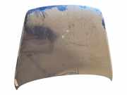 Motorhaube 7L6823031D Volkswagen Touareg (7LA/7L6) SUV 3.0 TDI V6 24V (BKS)