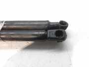 Gasdruckfeder Set Vorne 46739202 Alfa Romeo GT (937) Coupé 1.9 JTD 16V Multijet (937.A.5000)