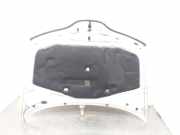 Motorhaube 7751471641 Renault Laguna II (BG) Schrägheck 5-drs 1.9 dCi 105 (F9Q-754)