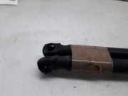Gasdruckfedern Set Hinten 176414 Opel CORSA D CorsaVan 75 CV / 55 KW