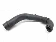 Schlauch 8200795490 Renault Megane III Berline (BZ) Schrägheck 5-drs 1.9 dCi (F9Q-872(F9Q-P8))