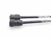 Gasdruckfedern Set Hinten 2S51B406A10AD Ford Fiesta 5 (JD/JH) Schrägheck 1.4 TDCi (F6JB)