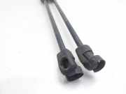 Gasdruckfedern Set Hinten 81780G4000 Hyundai i30 (PDEB5/PDEBB/PDEBD/PDEBE) Schrägheck 1.0 T-GDI 12V Hybrid 48V (G3LF)