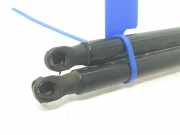 Gasdruckfedern Set Hinten 904508213R Renault Clio V (RJAB) Schrägheck 5-drs 1.5 Blue dCi 100 (K9K-872(K9K-U8))