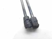 Gasdruckfedern Set Hinten 8731E6 Peugeot 206 (2A/C/H/J/S) Schrägheck 1.4 XR,XS,XT,Gentry (TU3JP(KFW))