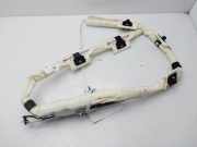 Vorhang Airbag Links VOOR VOOR BAMPT11624 Ford LIM. (CB8) Edition 116 CV / 85 KW