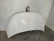 Motorhaube 664000X020 Hyundai i10 Schrägheck 1.1i 12V (G4HG)