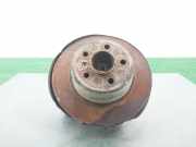 Achsschenkel Halter Links Hinten 33321095239 BMW X5 (E53) SUV 3.0d 24V (M57-D30(306D1))