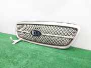 Grill 0K54G50710 Kia Carnival 2 (FIB/FLD) Großraumlimousine 2.9 HPDi 16V (J3(CRDI))