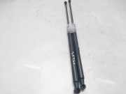 Gasdruckfedern Set Hinten 689500H040 Citroën C1 Schrägheck 1.0 12V VVT-i (1KR-FE(CFB))